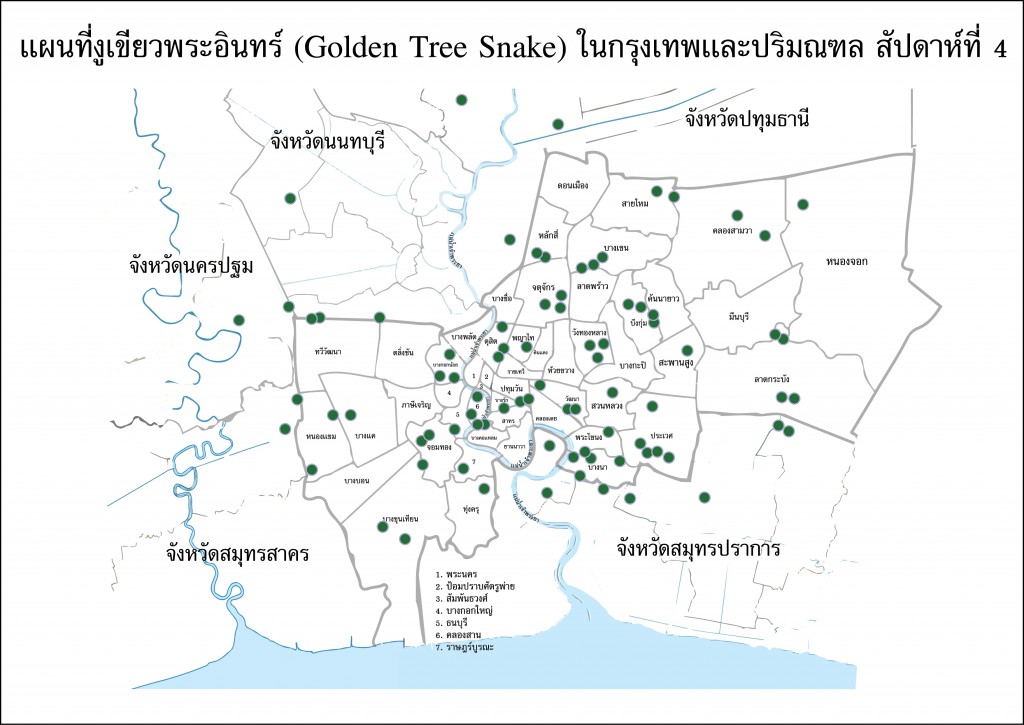 แผนที่งู4